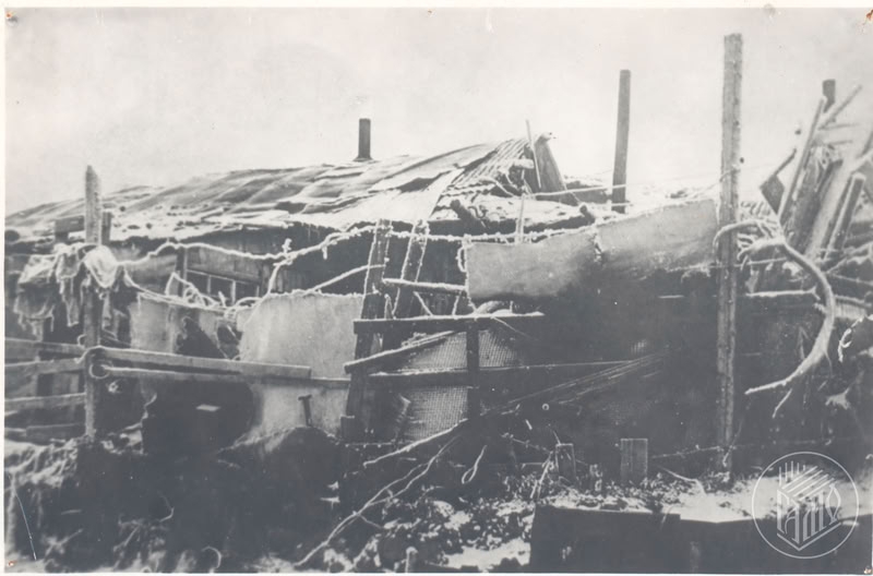 Шанхай в Мурманске