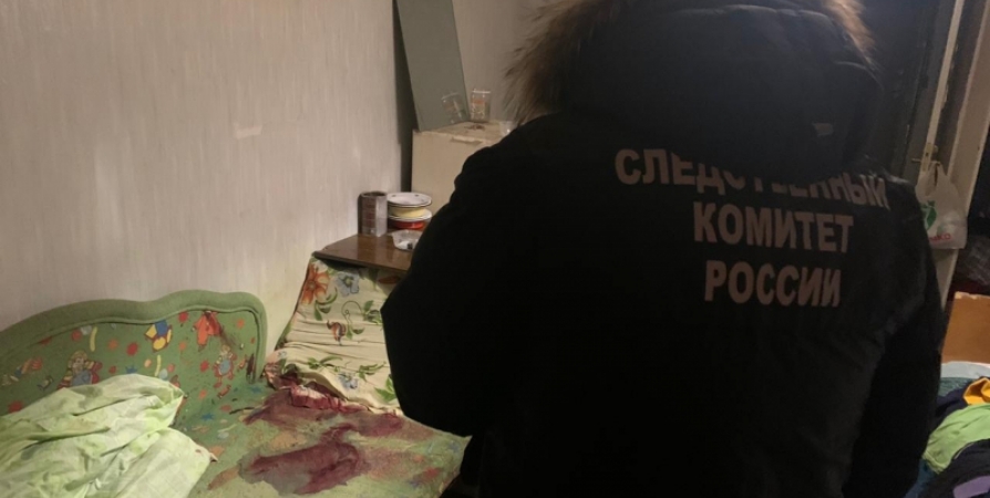 1 января житель Ковдора зарезал друга из-за DVD-проигрывателя