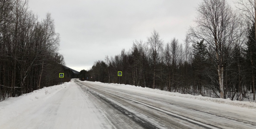 Летом на ремонт дорог в Снежногорск и Гаджиево направят 117,3 млн