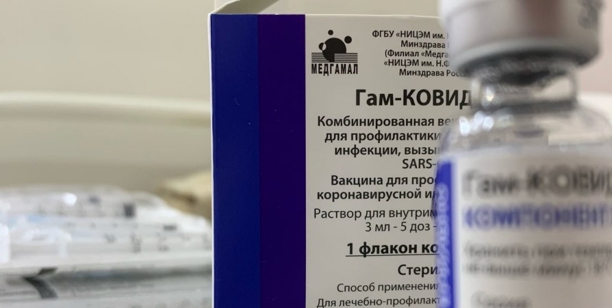 В Полярных Зорях и Снежногорске привили 677 человек от ковида