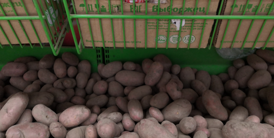 За неделю картофель в Мурманской области подорожал на 2,4%