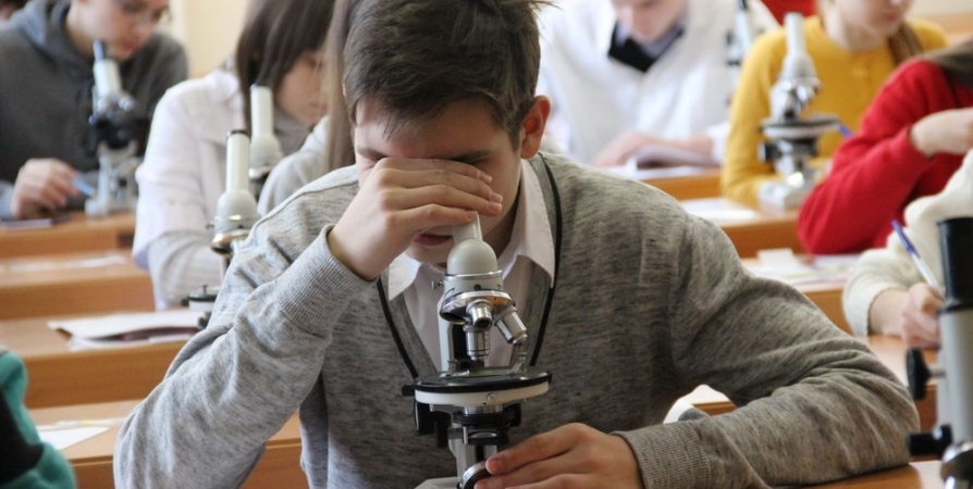 Власти Мурманской области выделят 4,5 млн на гранты молодым ученым