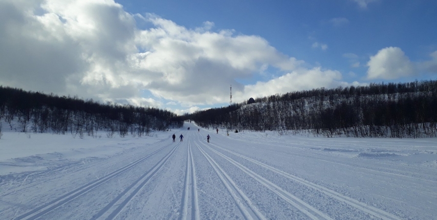 На старт «Лыжни России» в субботу выйдут не более 150 северян