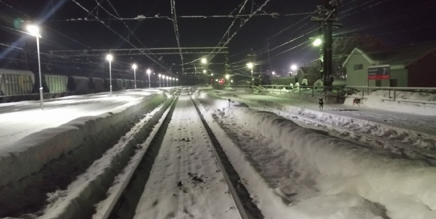 Мурманские поезда из СПб пользуются большим спросом этой весной