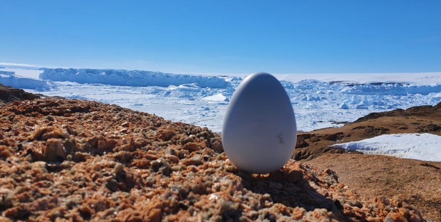 Арктические технологии помогли обеспечить интернетом вещей Антарктику
