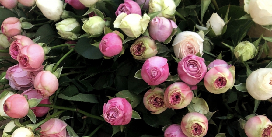 ВТБ: жители Мурманской области 2,5 раза увеличили траты на цветы и конфеты к 8 марта