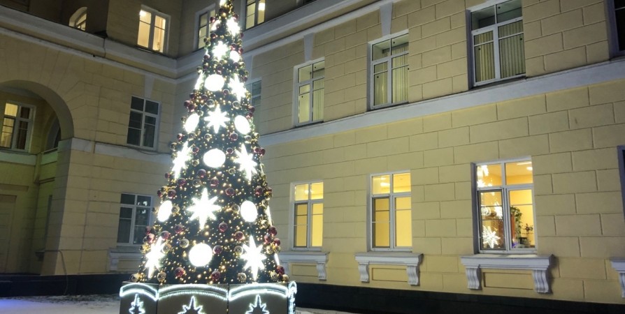 Правительству Заполярья новогоднюю елку подарил центр горразвития