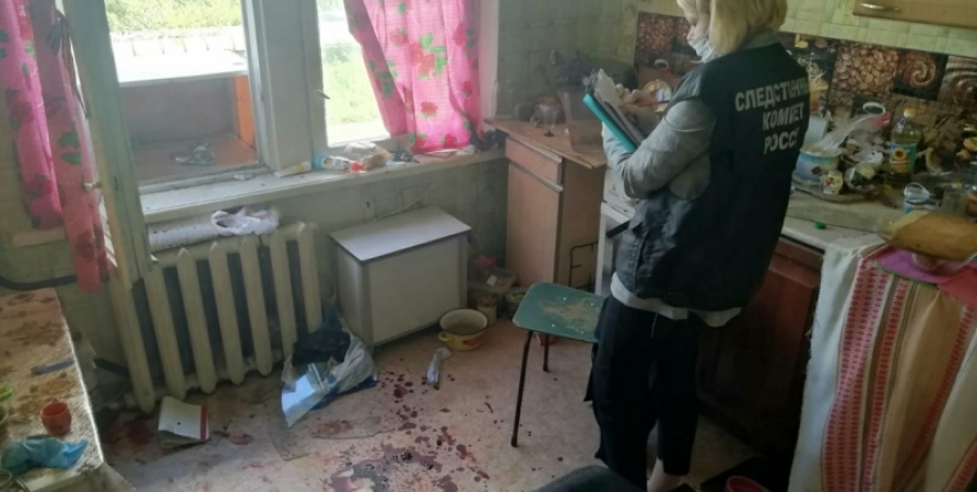 После убийства осколком у жительницы Видяево подозревают психическое расстройство