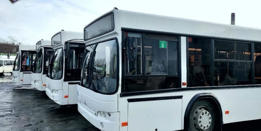 На линии Мурманска выйдут четыре новых низкопольных автобуса