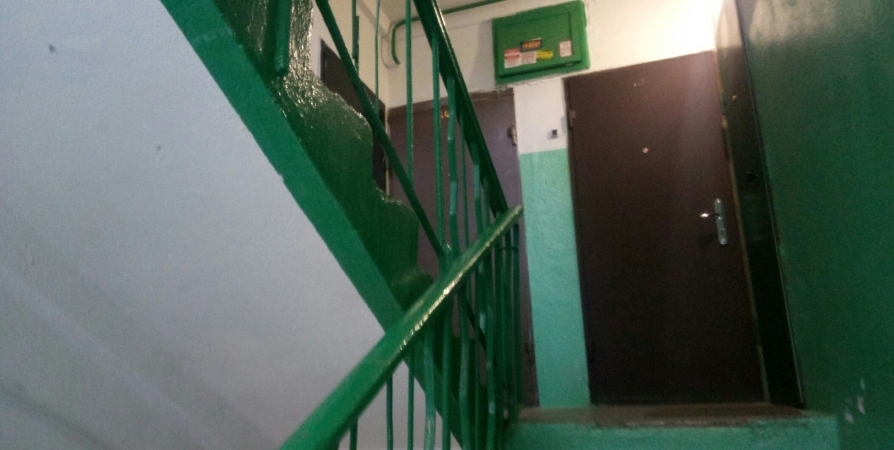 Грабитель из Оленегорска выбил дверь чужой квартиры и вынес телевизор