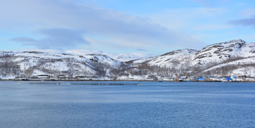 В Мурманске пройдет международная конференция «Логистика в Арктике»