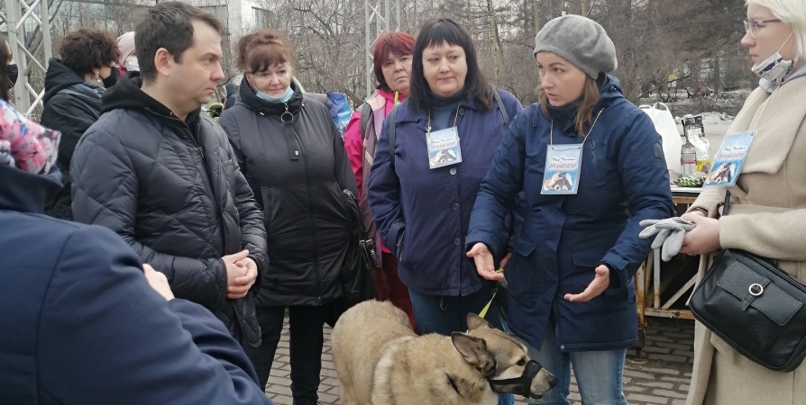 Андрей Чибис пообщался с зооволонтерами на акции в Мурманске