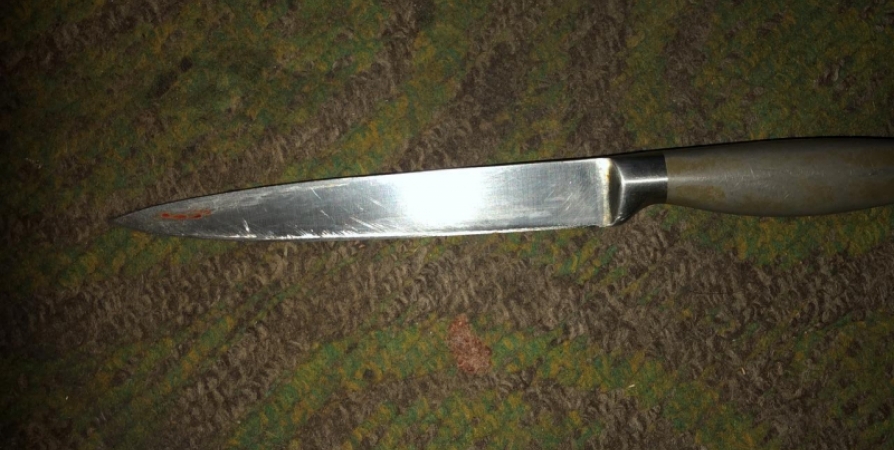 После убийства мурманчанка спрятала нож под холодильник
