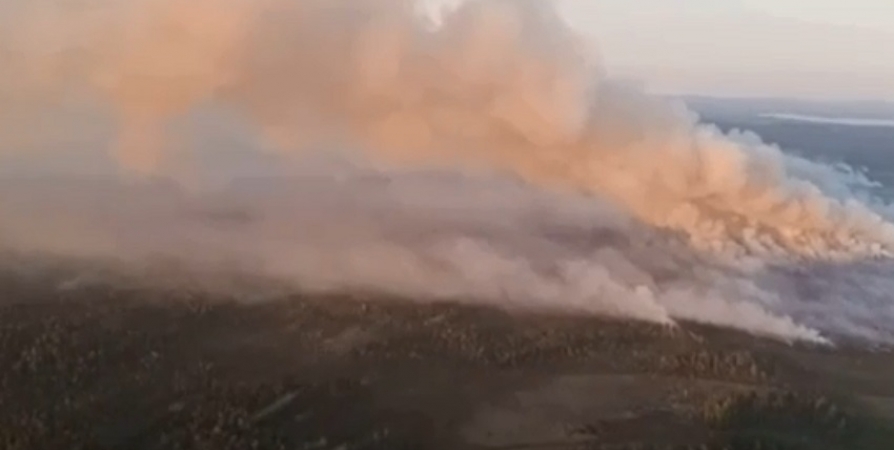 В Ковдорском районе тушат лесной пожар
