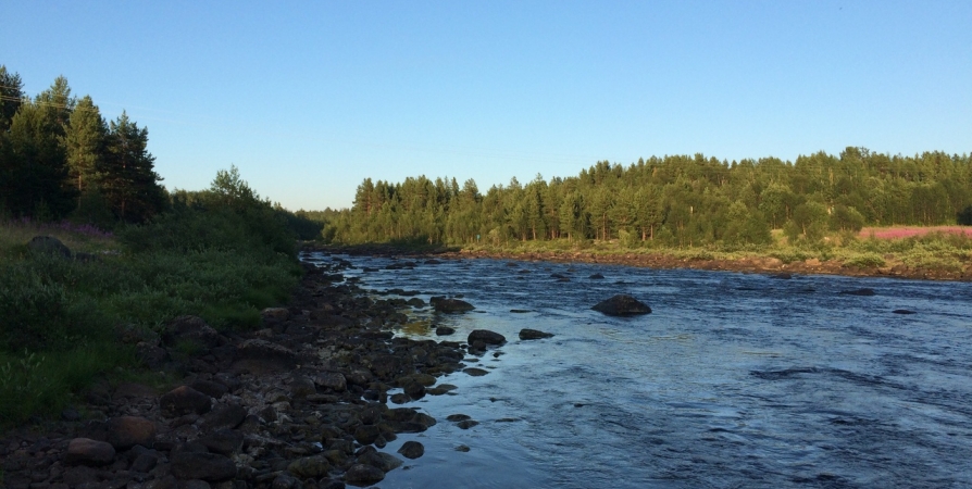 Уровни воды на реках Мурманской области снизились на 17 см