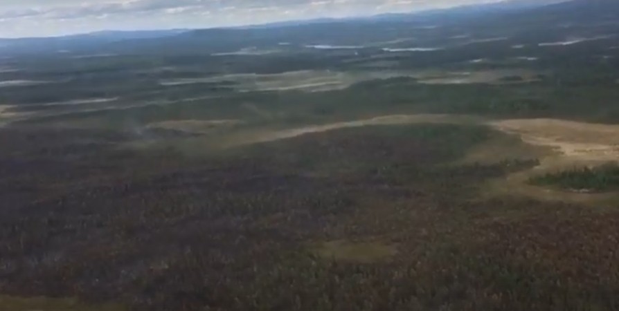 Режим повышенной готовности введен в Мурманской области из-за пожароопасности лесов