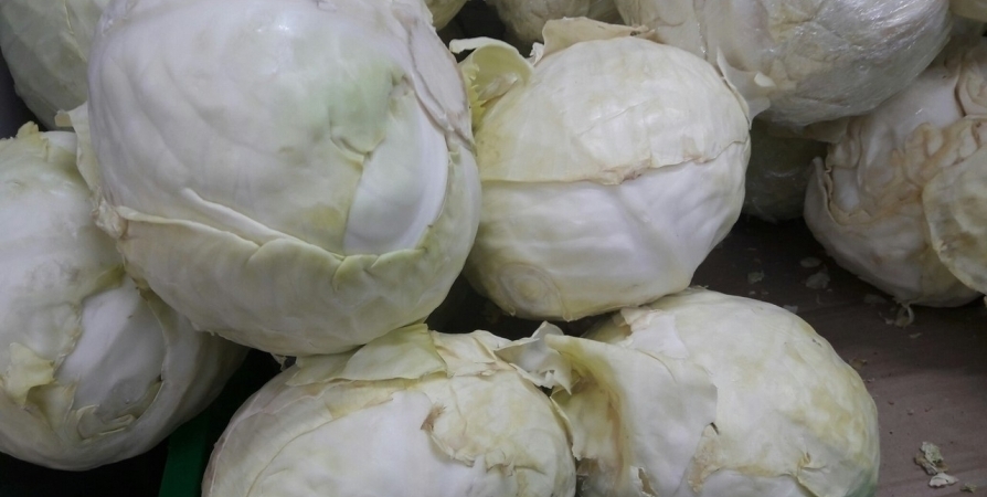 Цены на капусту за месяц в Мурманской области выросли на 27%
