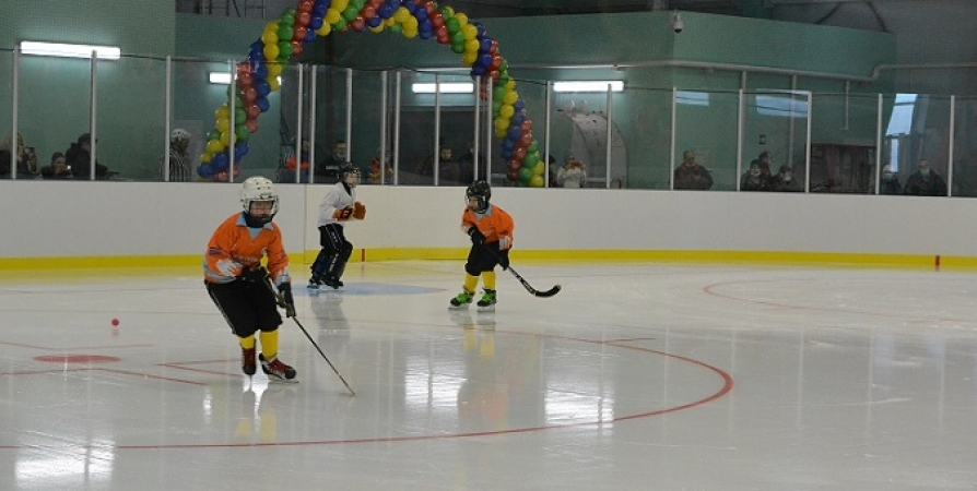 В Мурманске голосуют за название молодежной хоккейной команды