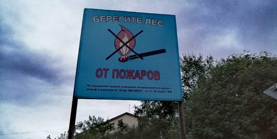 Высший класс пожарной опасности объявлен в Мурманской области