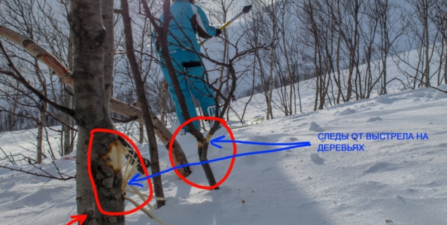 Дело застрелившего собаку на склоне в Кировске передано в суд