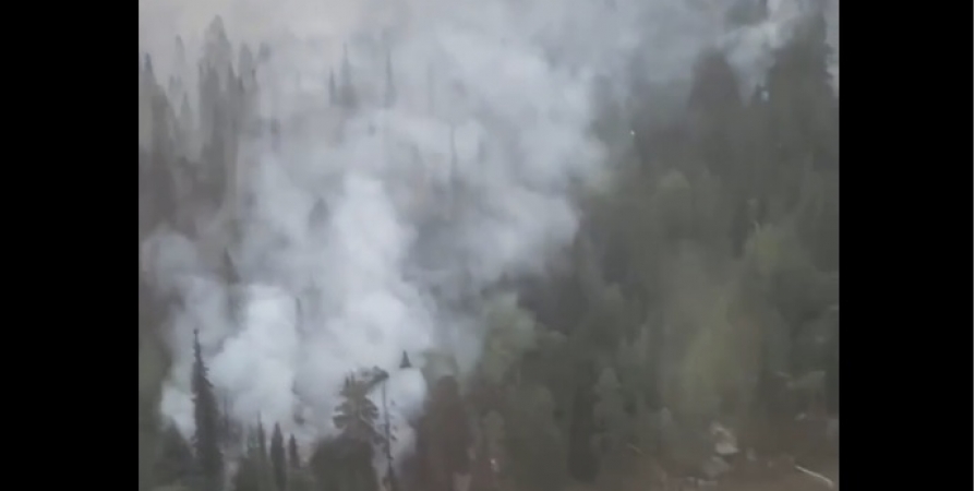 Очевидцы поделились видео пожара в кольском лесу