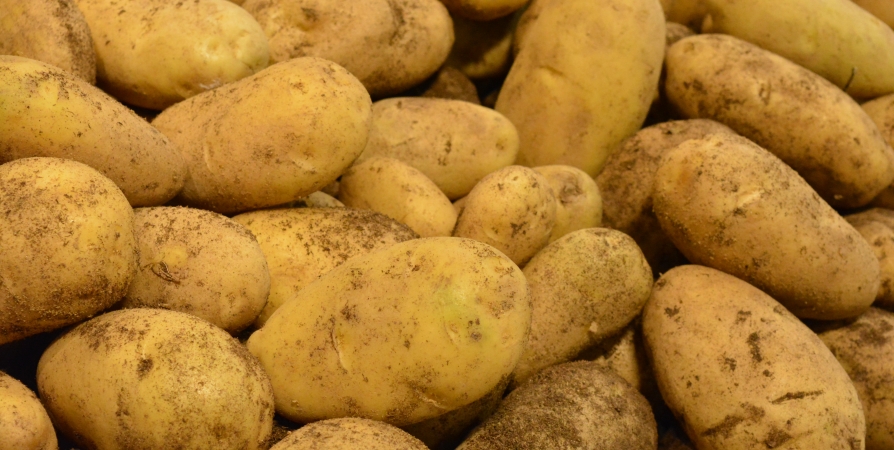 Почти на 23% подорожал за неделю картофель в Мурманской области