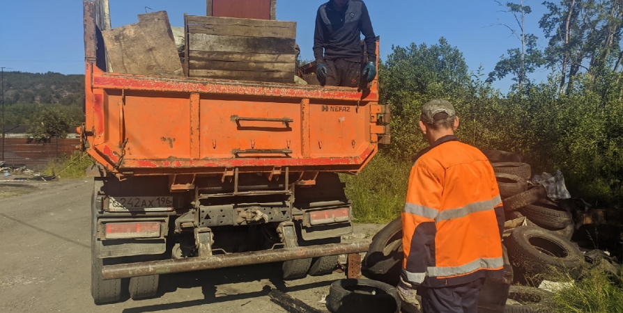 Мурманчане собрали два «КамАЗа» мусора в зеленой зоне на Дежнёва