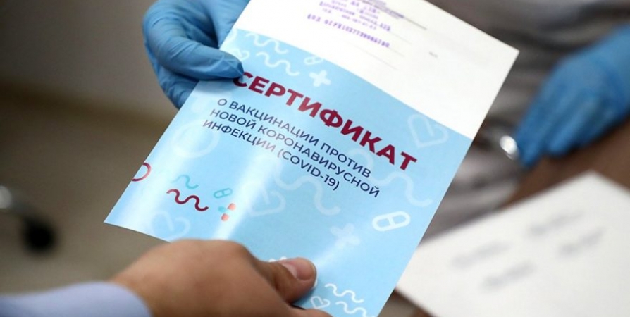 В Мурманске выявлен сайт с поддельными справками о вакцинации
