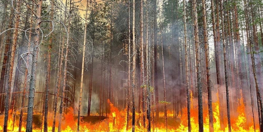 Северян предупредили о перекрытии трассы в Карелии из-за лесного пожара