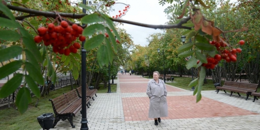 На «Рябиновой аллее» в Мурманске обновят плитку на пешеходной зоне