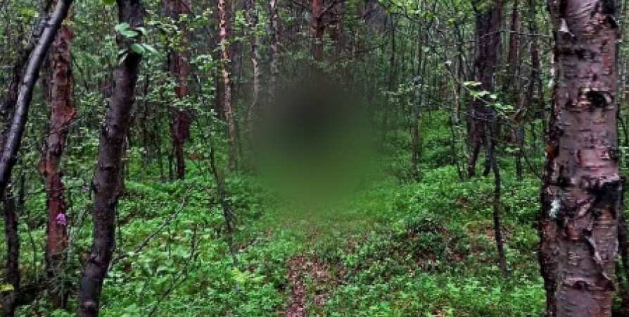В лесополосе на Домостроительной в Мурманске нашли тело мужчины