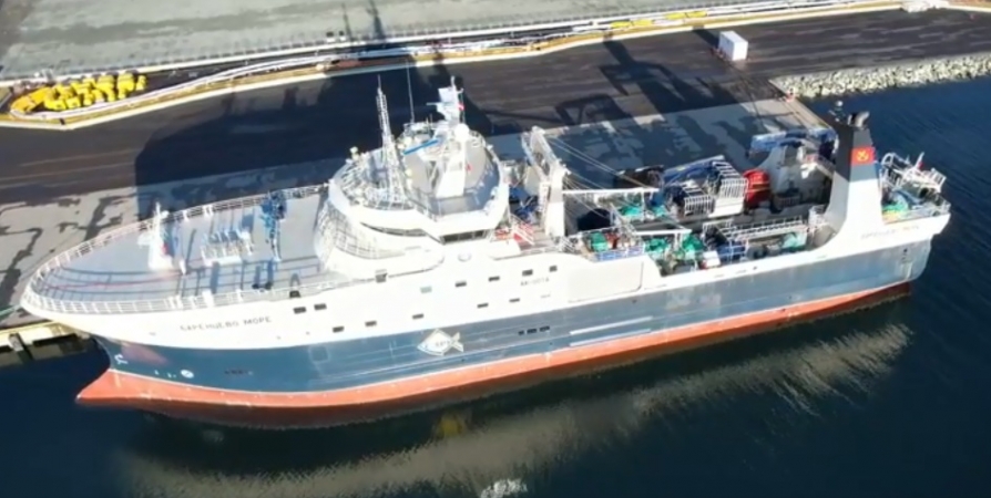 Траулер «Баренцево море» вернулся в порт с уловом трески и пикши