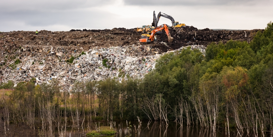 50 «футбольных полей» мусора в Дровяном превратят в чистый газон