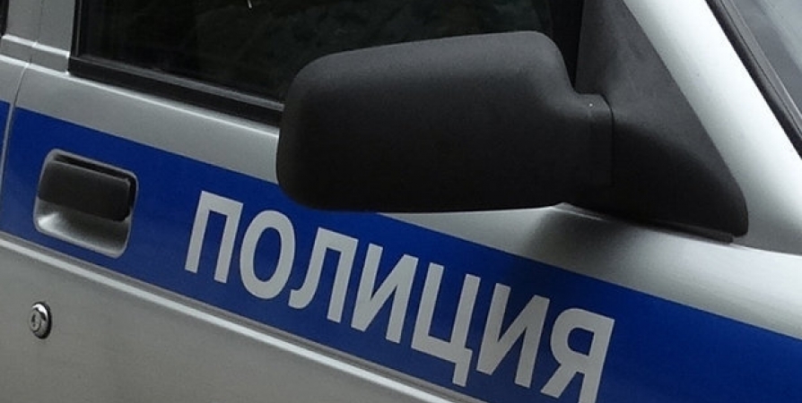 Жительнице Полярного грозит срок за удар ногой в голову полицейского