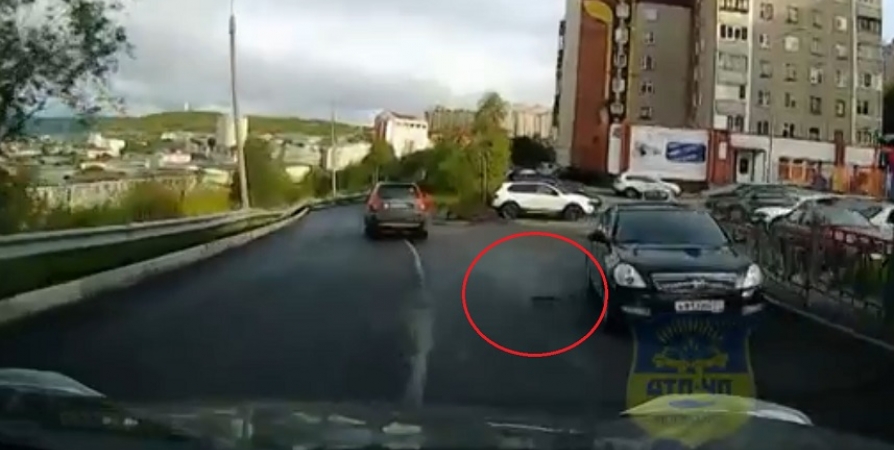 В Мурманске пробегающая перед авто белка попала на видео