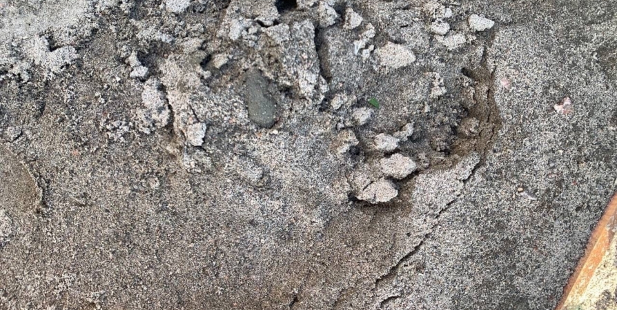 Мурманчане сообщают о следах медведя на городском кладбище