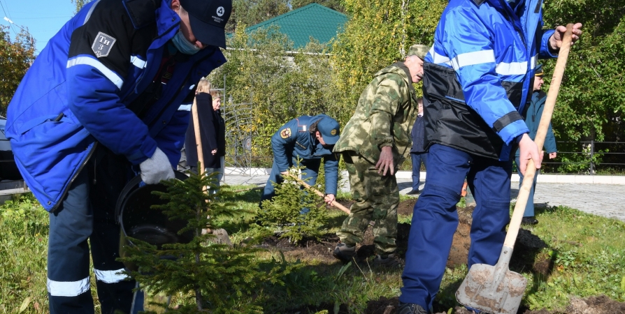 Экологи Кольской АЭС присоединились к эколого-патриотической акции «Лес Победы»