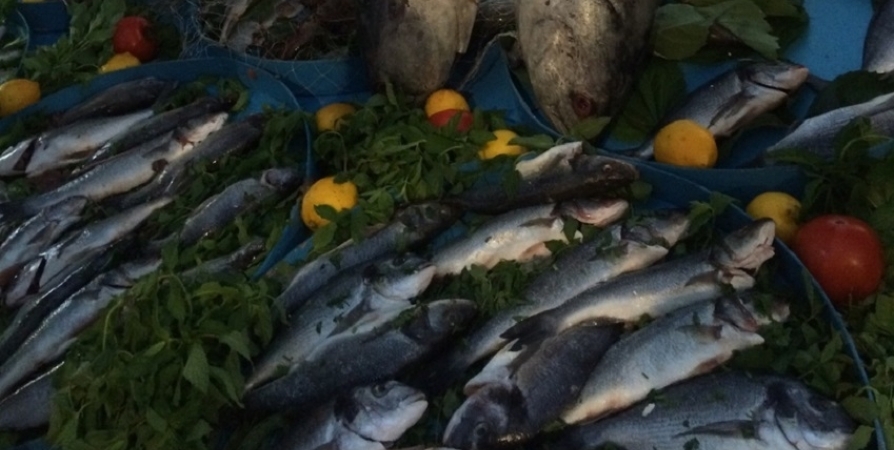 До 19 часов работает ярмарка «Наша рыба» в центре Мурманска