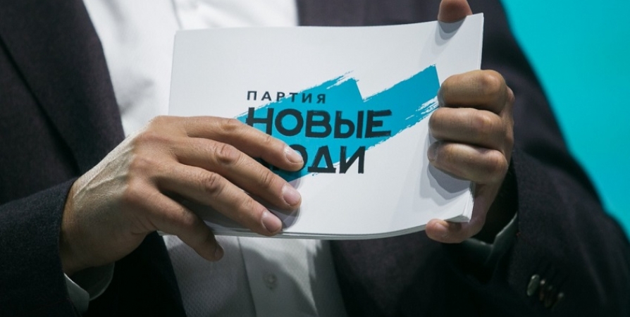 Партия «Новые люди» готова вернуть прямые выборы мэров в Мурманской области