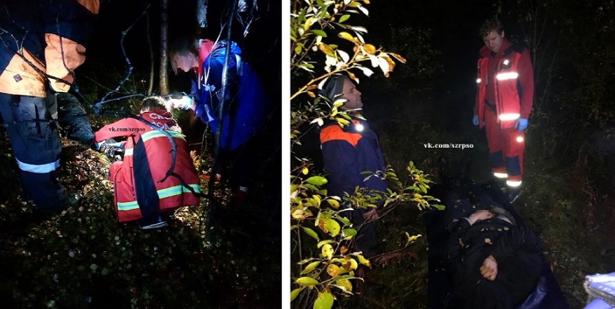 Спасатели по ночному лесу несли километр мурманчанина на носилках