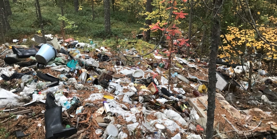 Кандалакшских дачников подозревают мусорной свалке в лесу