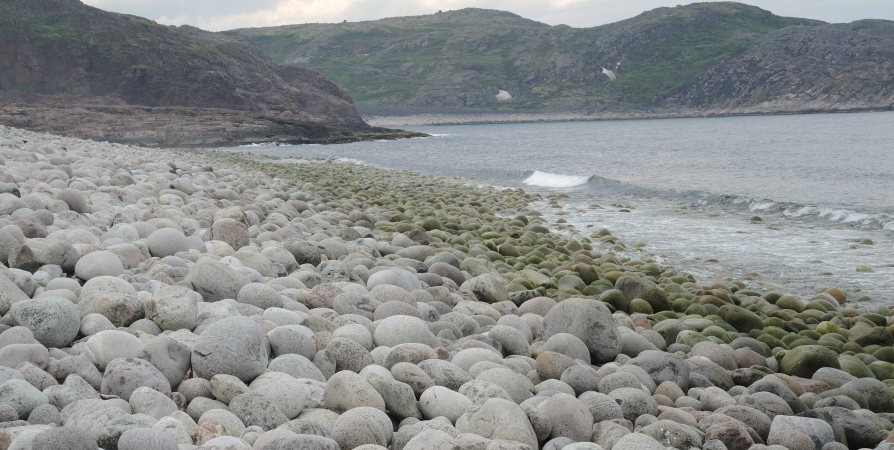 Туристы увозят в качестве сувениров камни с пляжа в Териберке