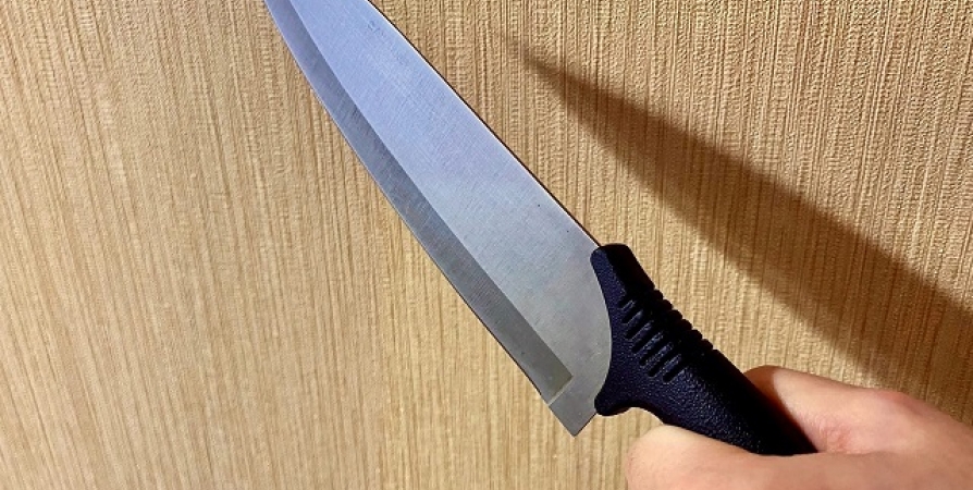 В Мурманске выясняют обстоятельства нападения на детей с ножом