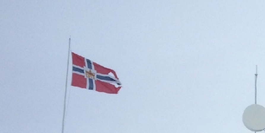 Подняли тему электрошаттлов с открытием границ между Норвегией и Заполярьем