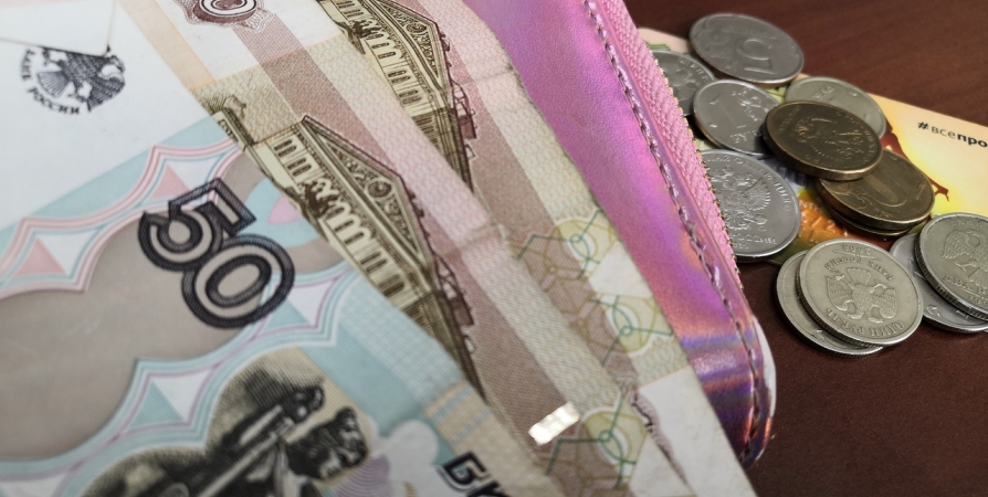 Средняя зарплата в Мурманской области составила 73 719 рублей