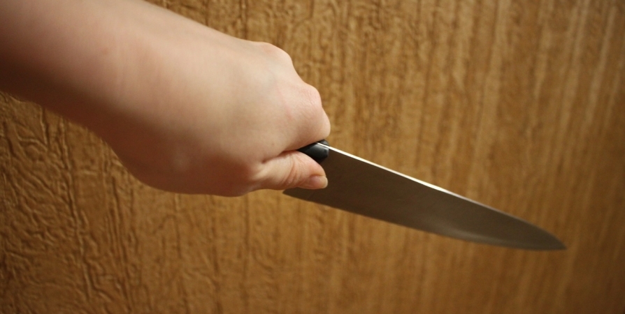 Жительница Кандалакши ударила гостя сожителя ножом в шею