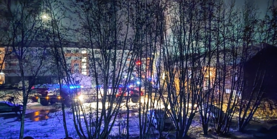 В сгоревшей «деревяшке» в центре Мурманска погиб мужчина [видео]