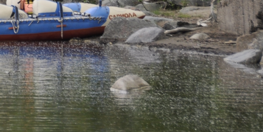 На озере в Мончегорске перевернулась лодка с мужчиной