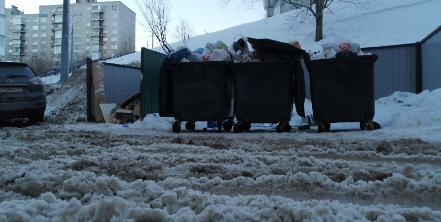 В невывозе мусора в Мурманске регоператор обвинил управляющие компании