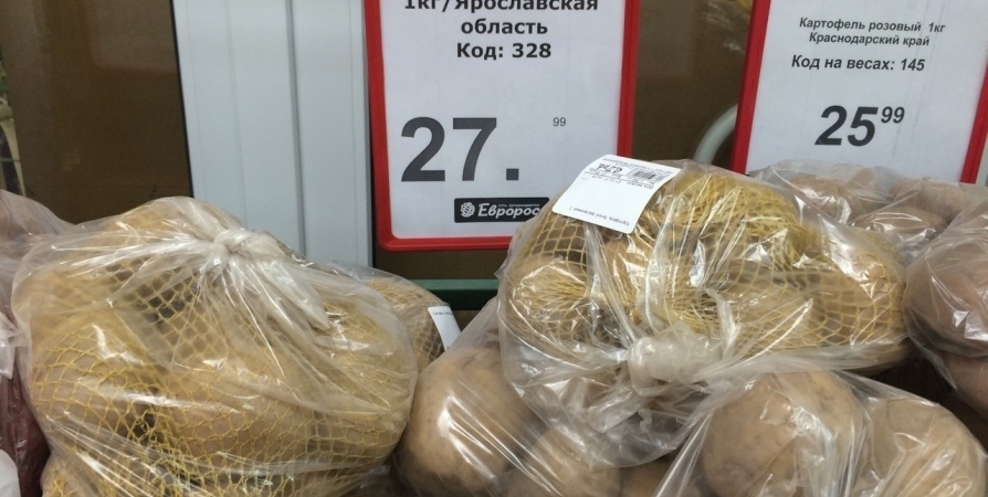 В Заполярье картофель подорожал почти на 5%